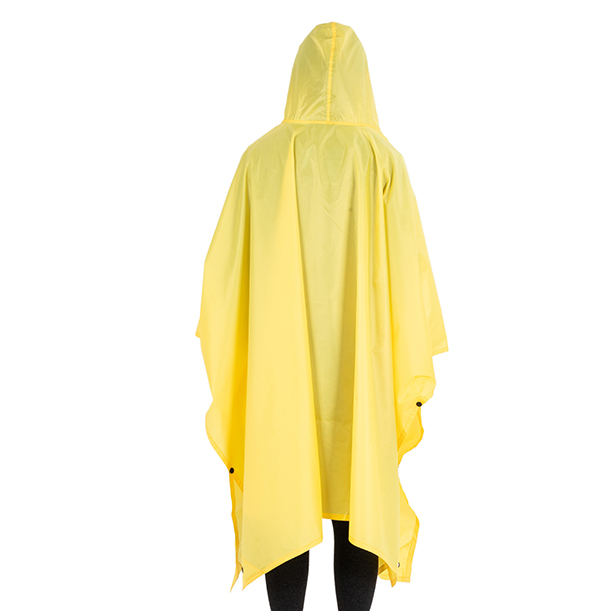 DSC05050
